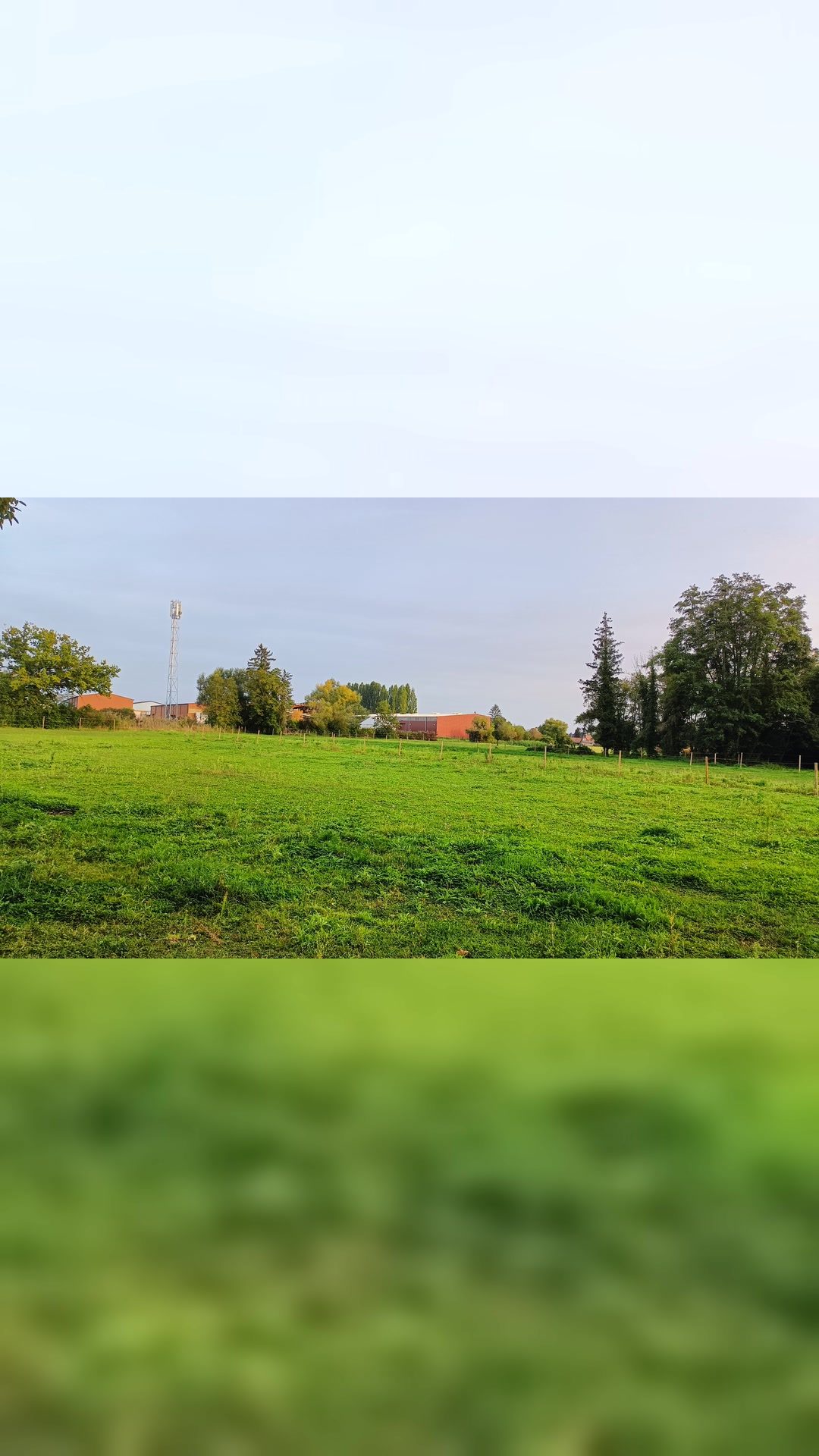Pension pré troupeau à l’année, média 5