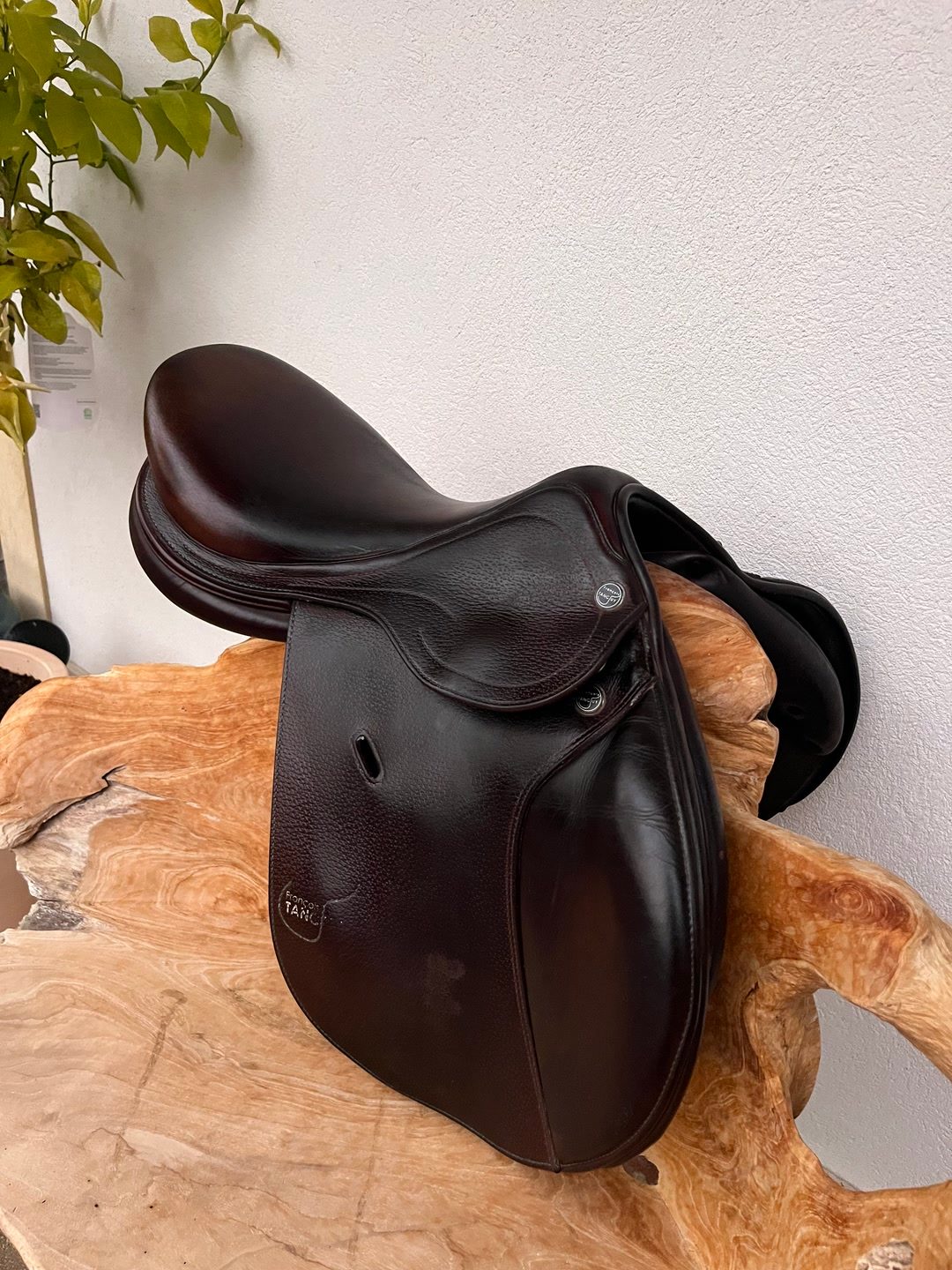 Selle de SCO François Tanguy, média 2