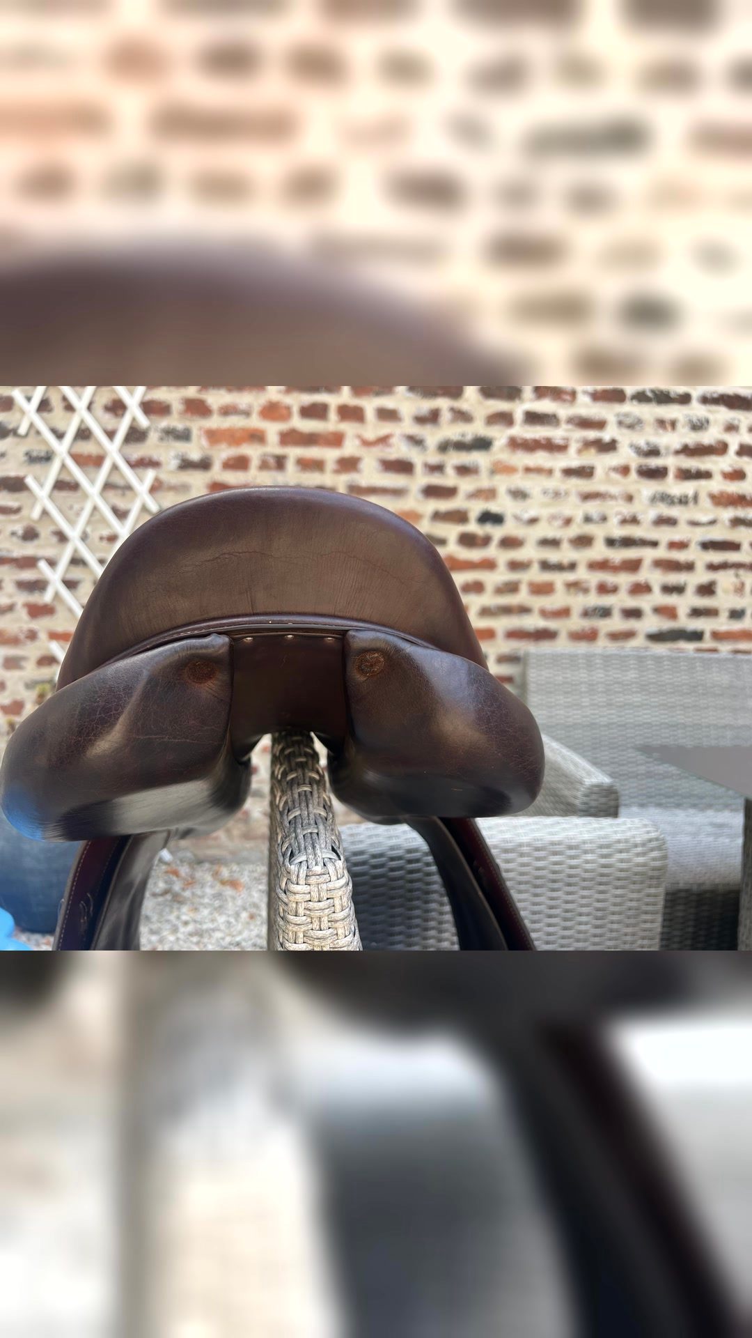 Selle Forestier Séoul 17,5 pouces, média 2