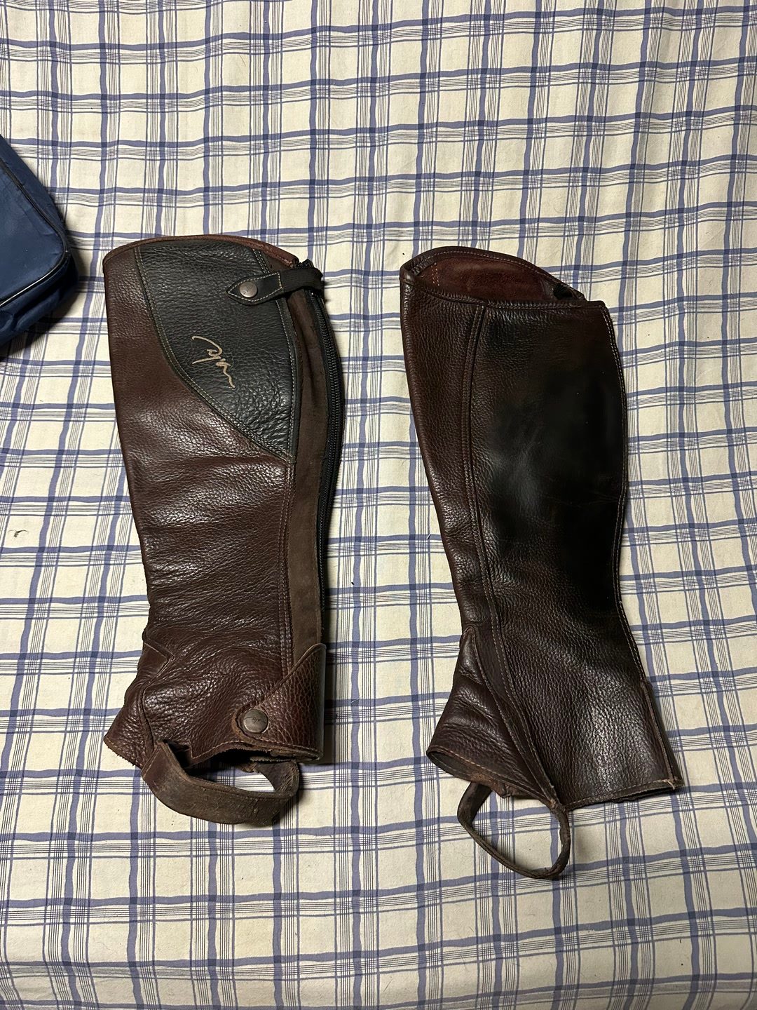 Chaps dyon, média 2
