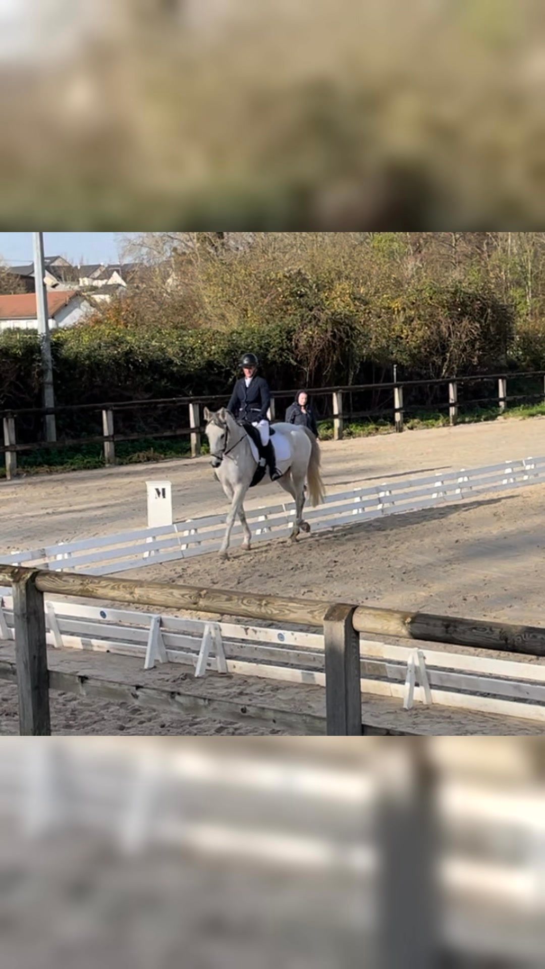 Travail du cheval, média 7