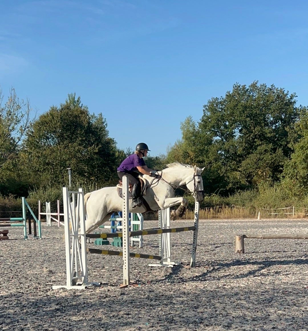 Travail du cheval, média 3