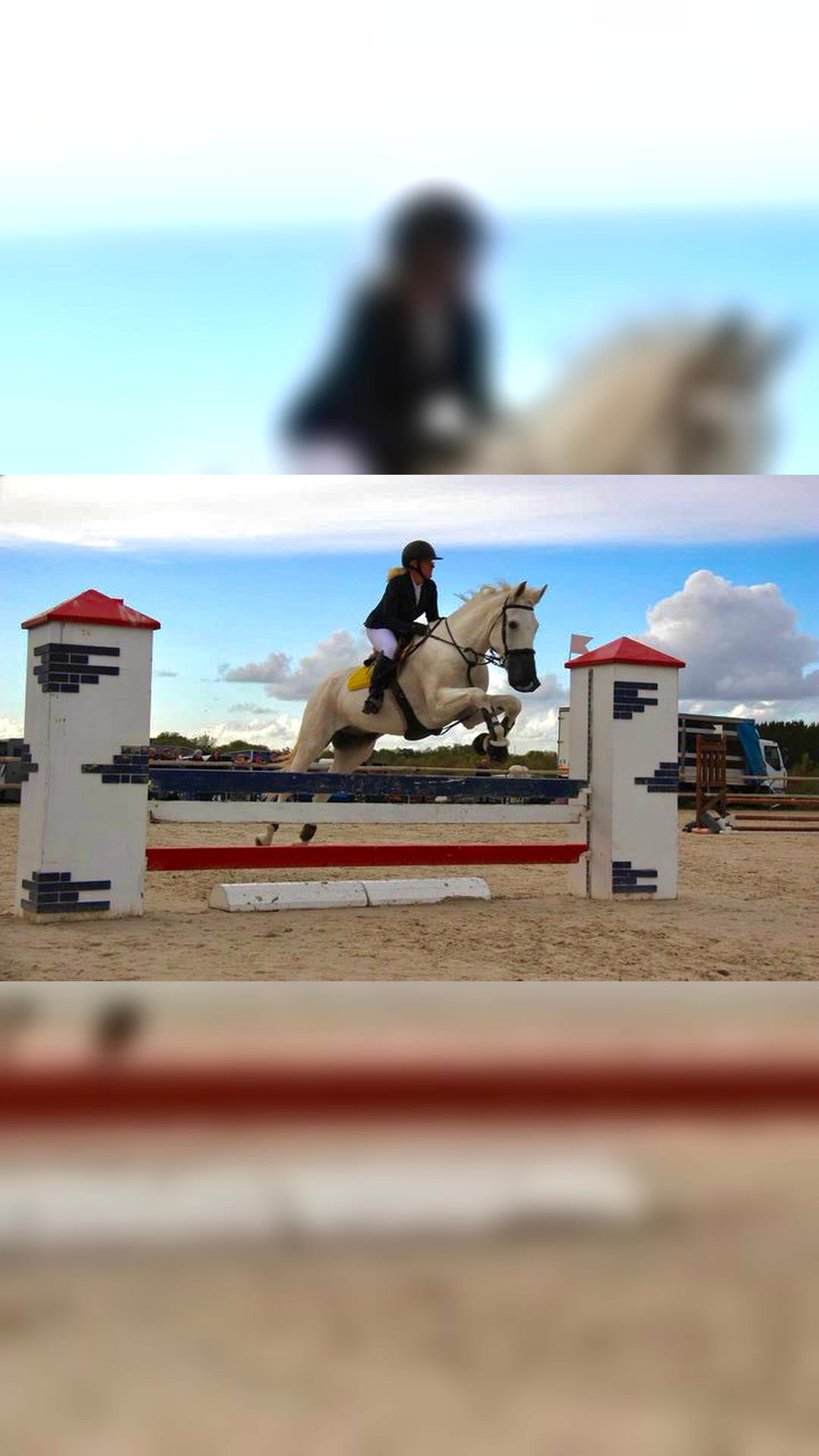 Travail du cheval, média 5