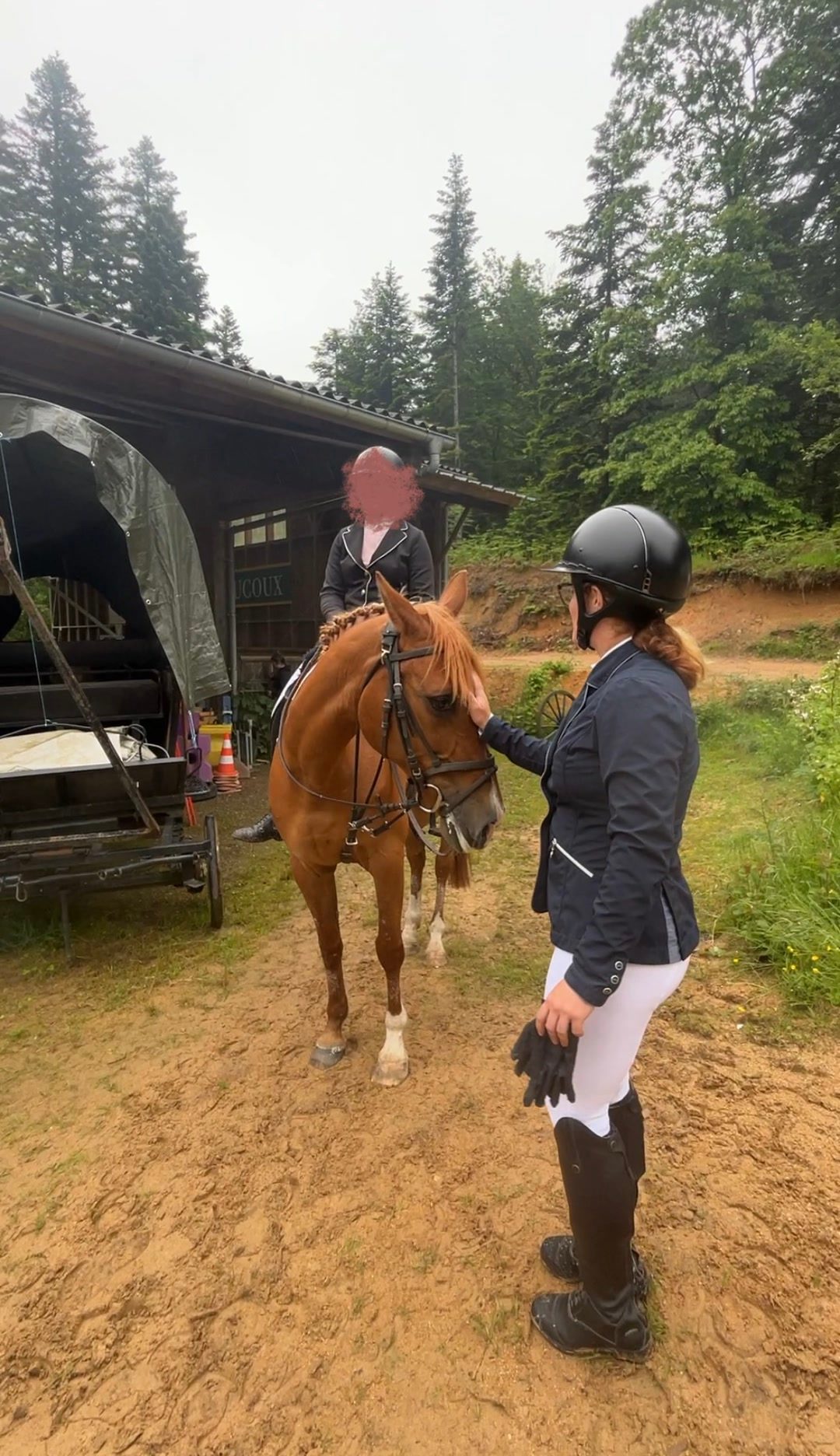 Cours d’équitation, média 4