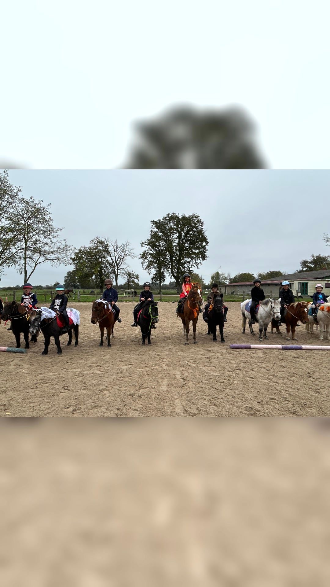 Cours d’équitation, média 3