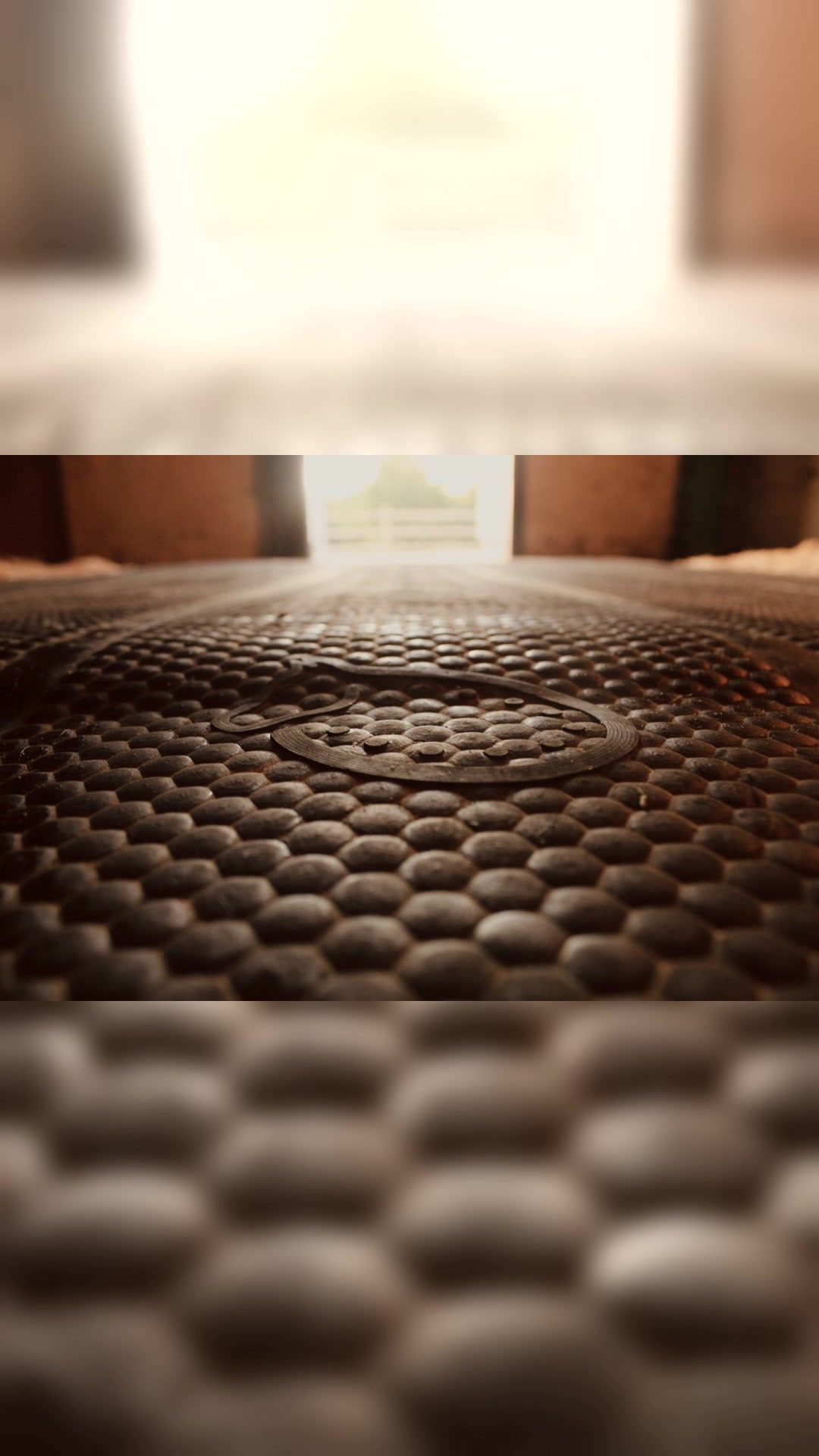 Matelas chevaux neufs, média 5