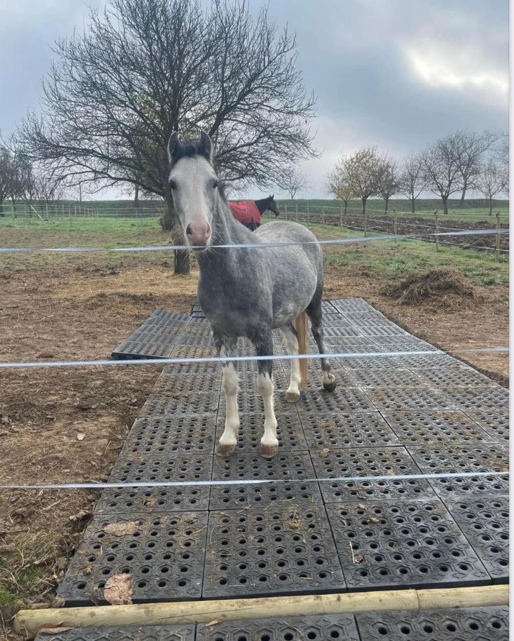 Dalles de stabilisation type ecoraster et antiboue, média 6