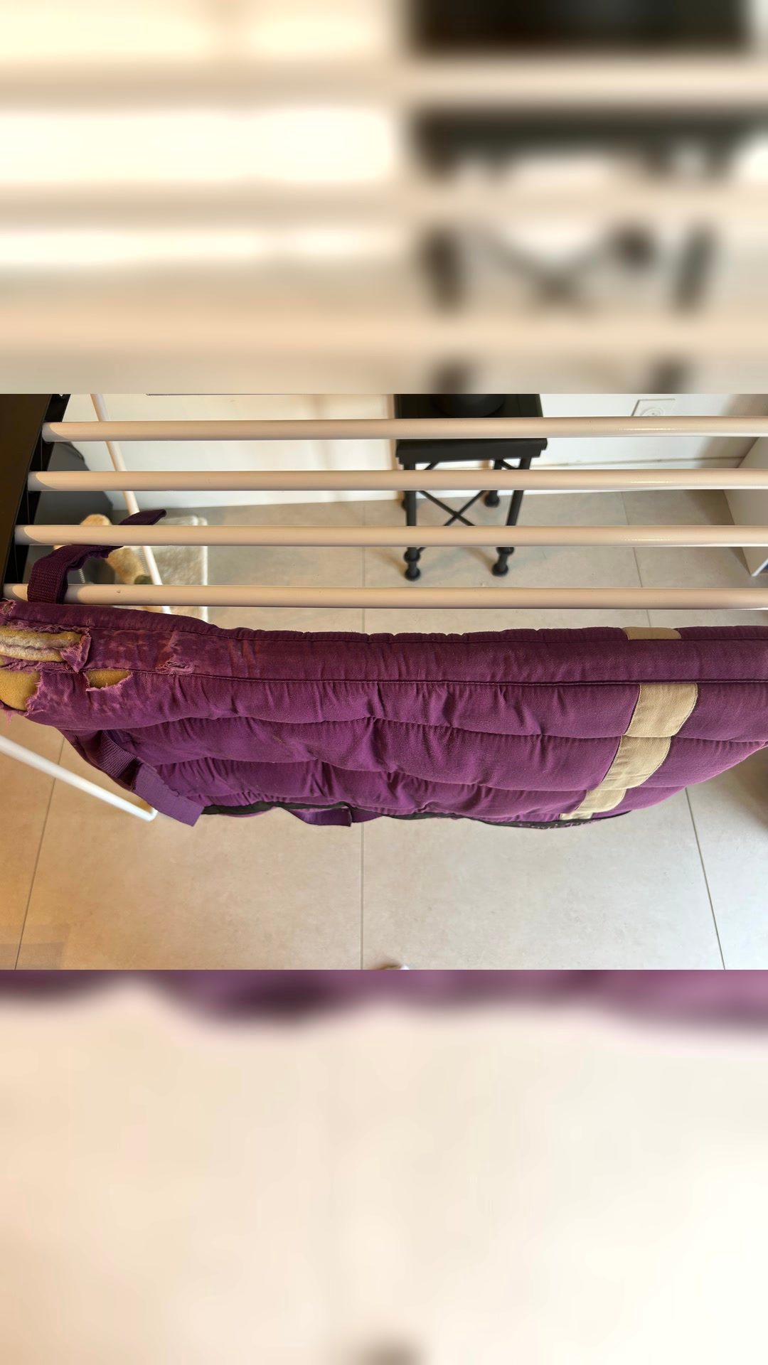 Tapis de selle, média 2