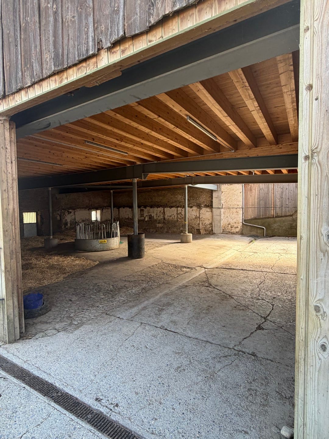 Pension pour chevaux – Sédeilles (VD), média 2