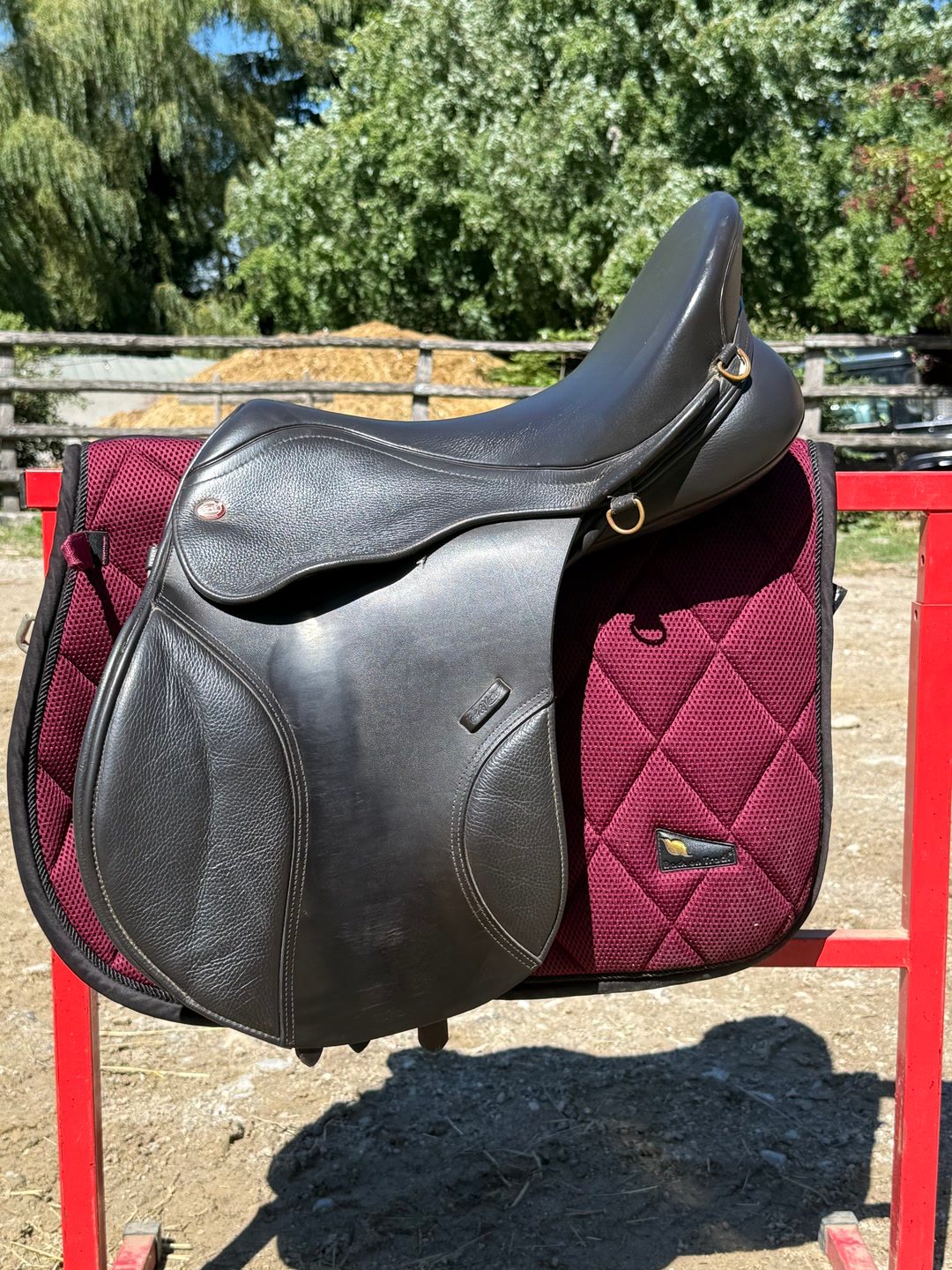 Selle Kent & Masters S Series GP Universal – 17,5” – Marron, média 2