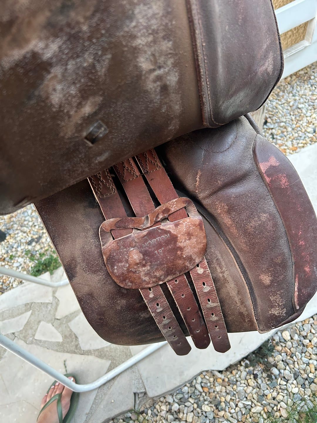 Selle mixte, média 7