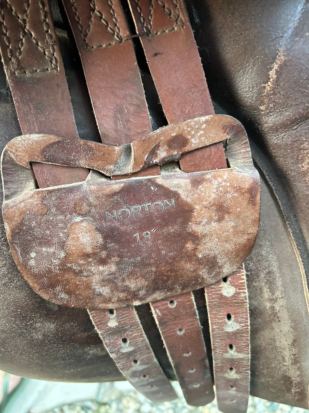 Selle mixte, média 5