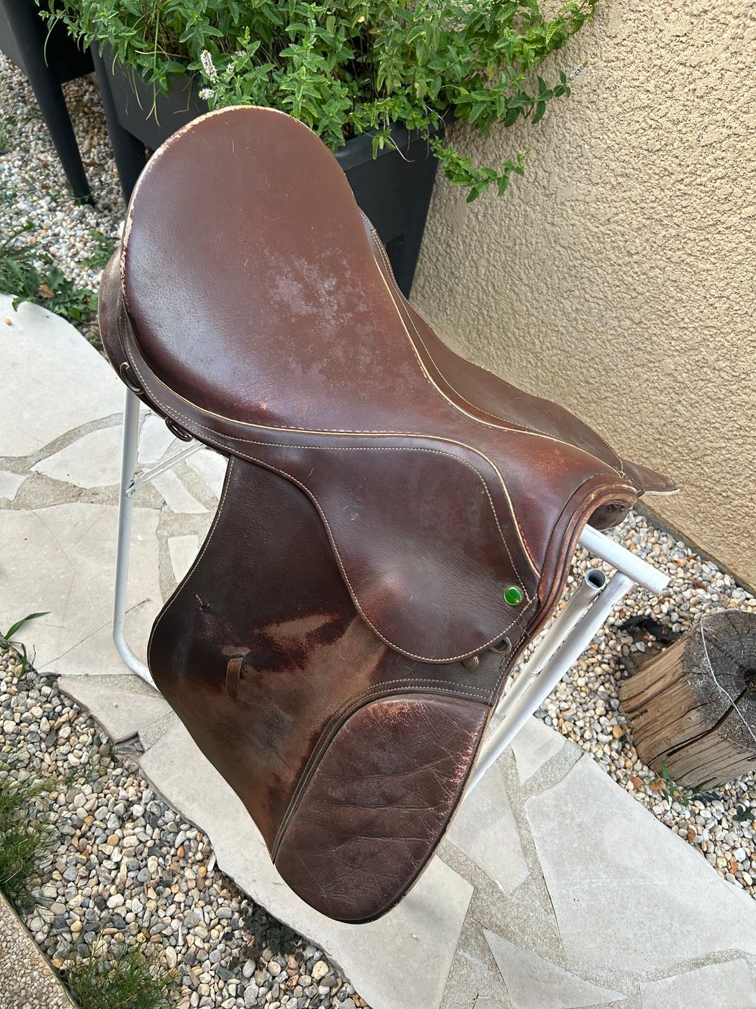 Selle mixte, média 2