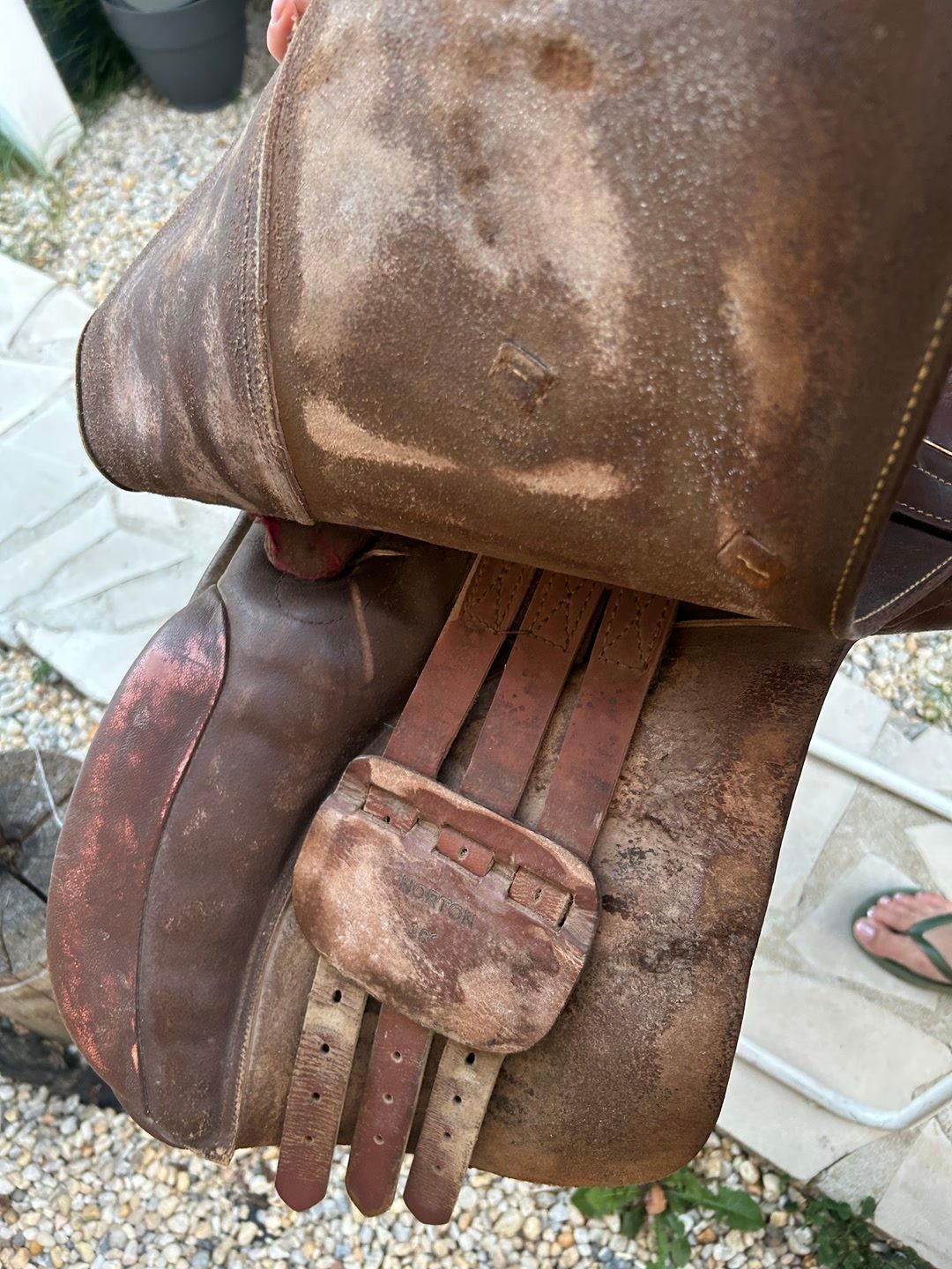 Selle mixte, média 6