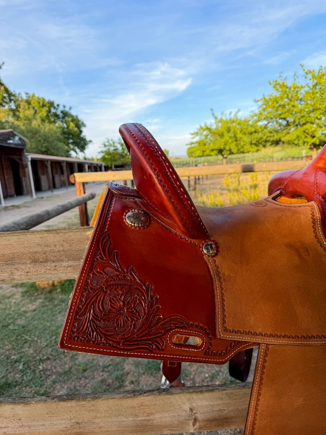Selle de barrel racing, média 5