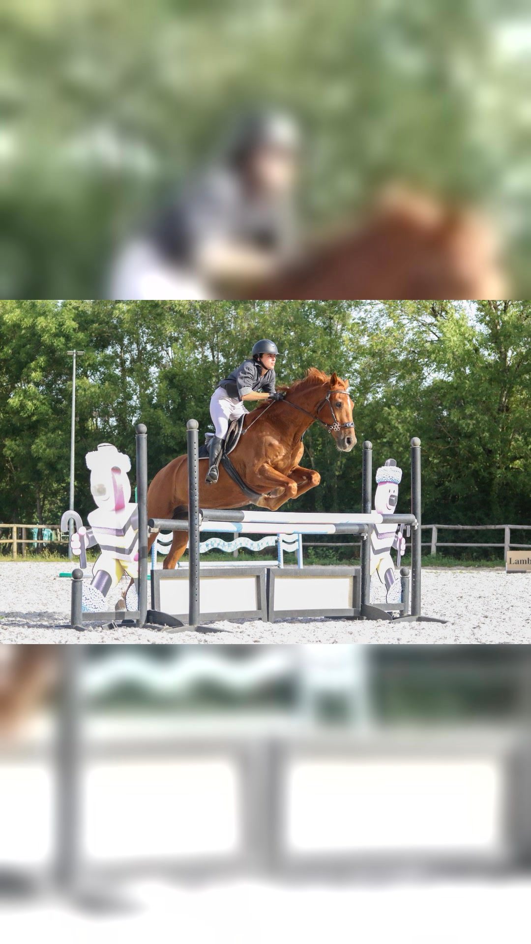 Monitrice d’équitation & éducatrice équine – Bordeaux / Gironde, média 4