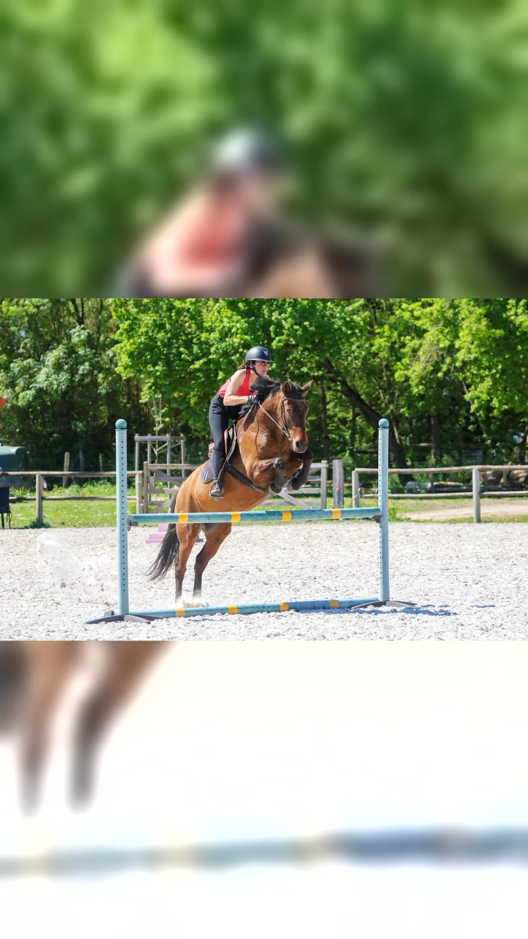Monitrice d’équitation & éducatrice équine – Bordeaux / Gironde, média 5