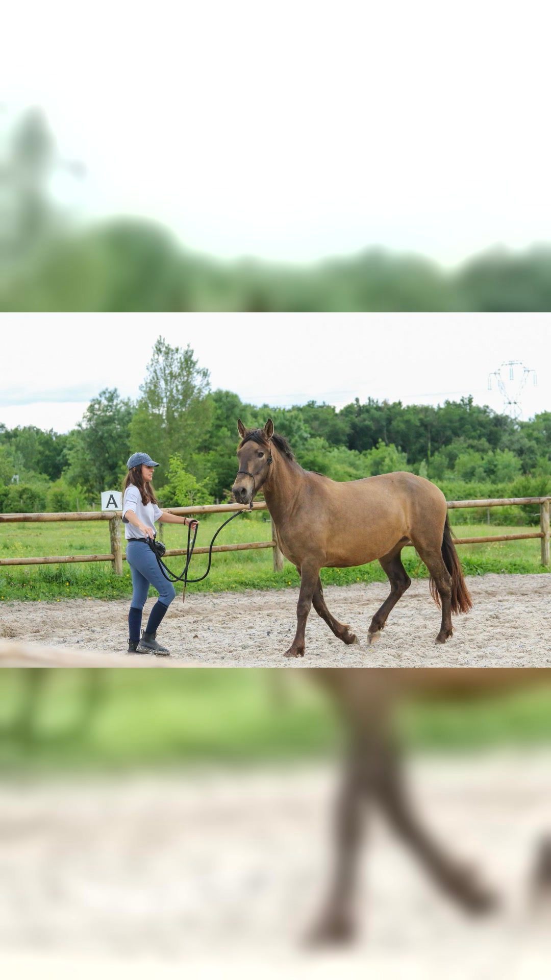 Monitrice d’équitation & éducatrice équine – Bordeaux / Gironde, média 6