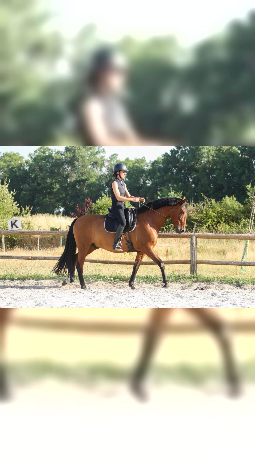 Monitrice d’équitation & éducatrice équine – Bordeaux / Gironde, média 3