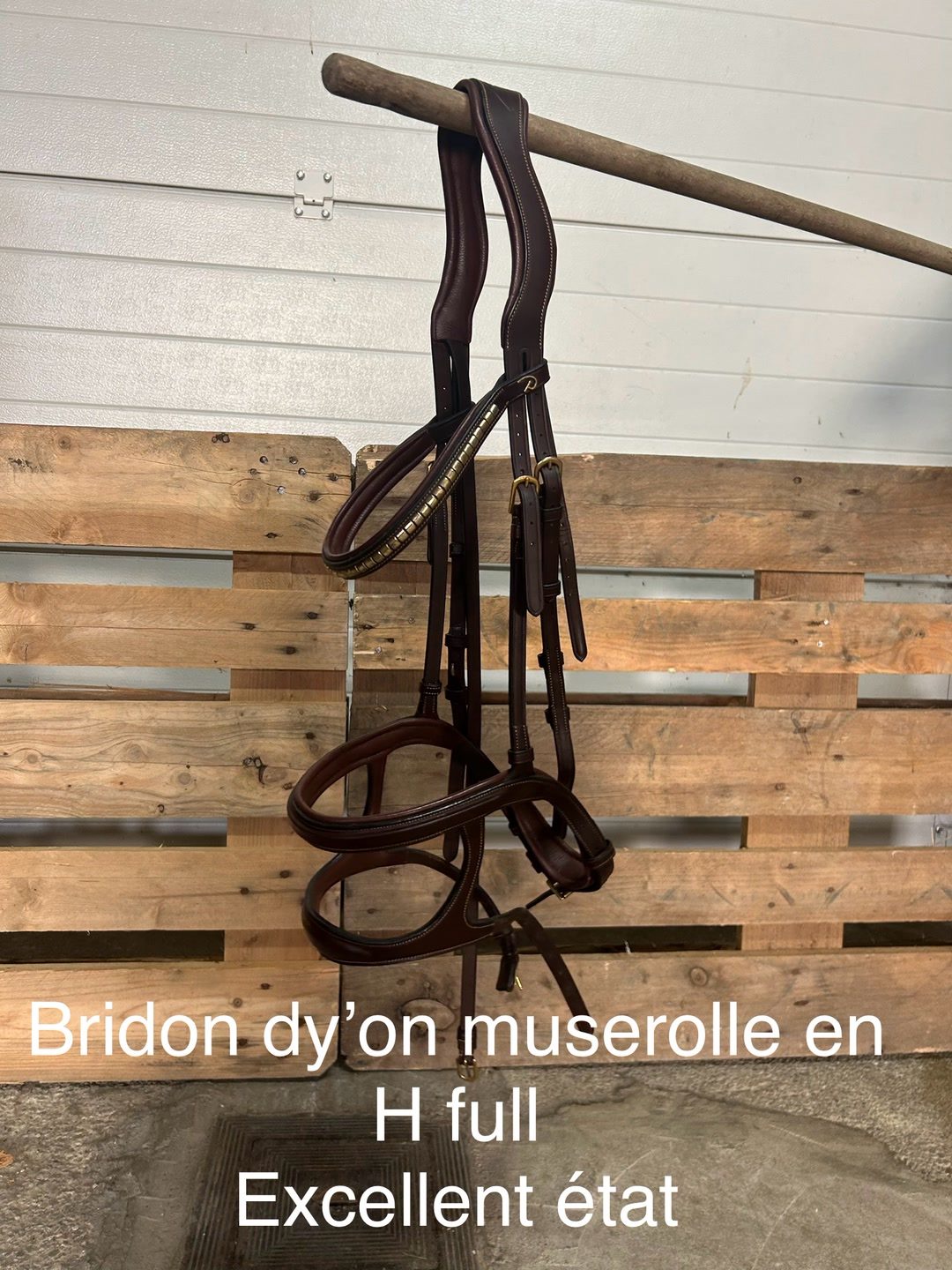 Bridon dy’on muserolle anatomique full, média 2
