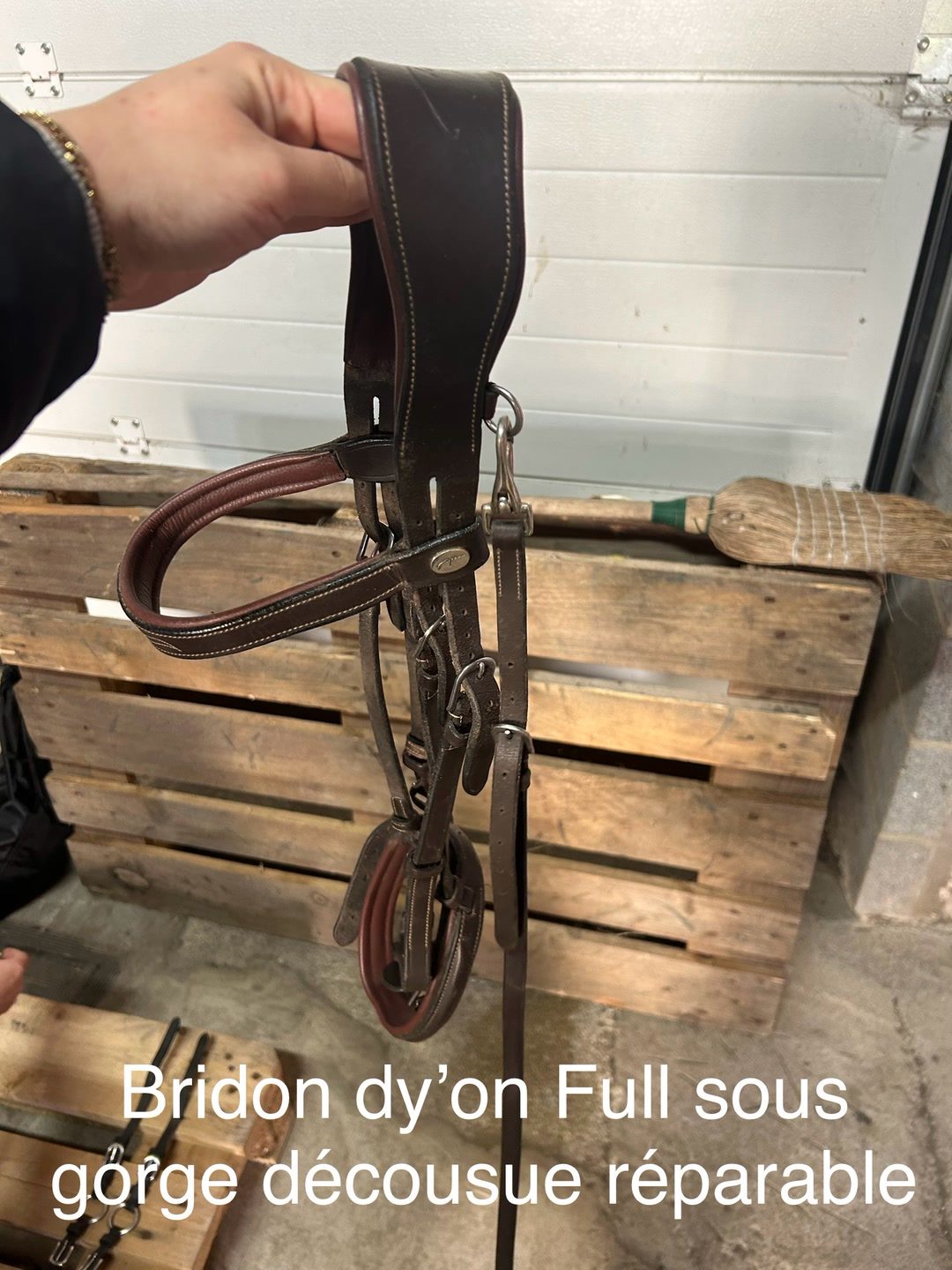 Bridon dy’on full, média 3