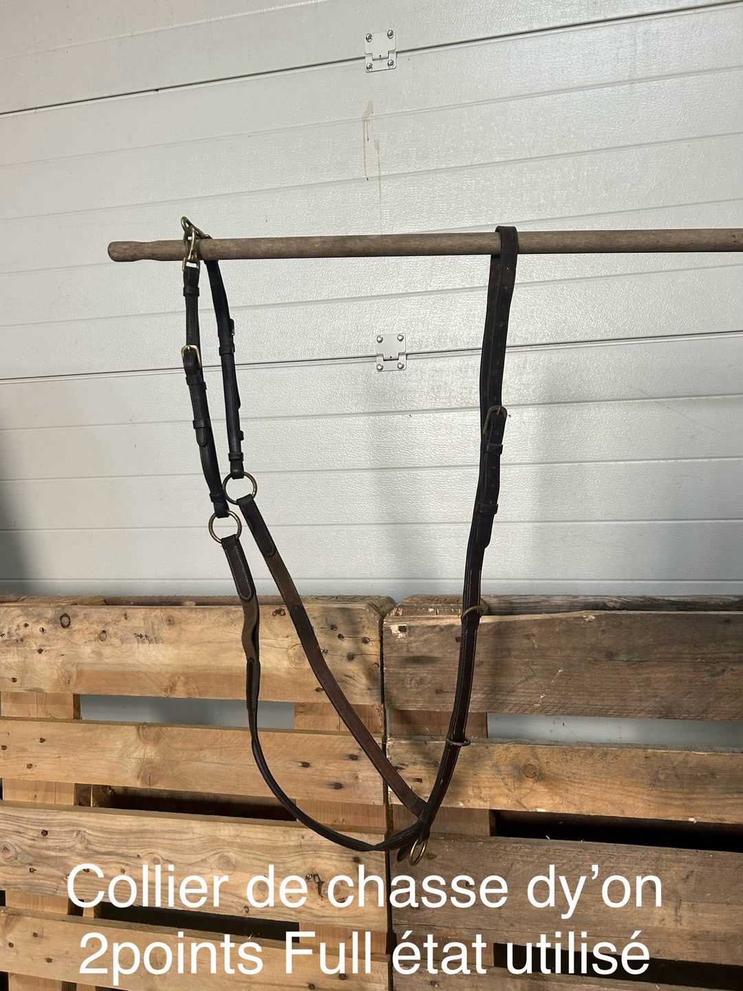 Collier de chasse Dy’on full, média 2