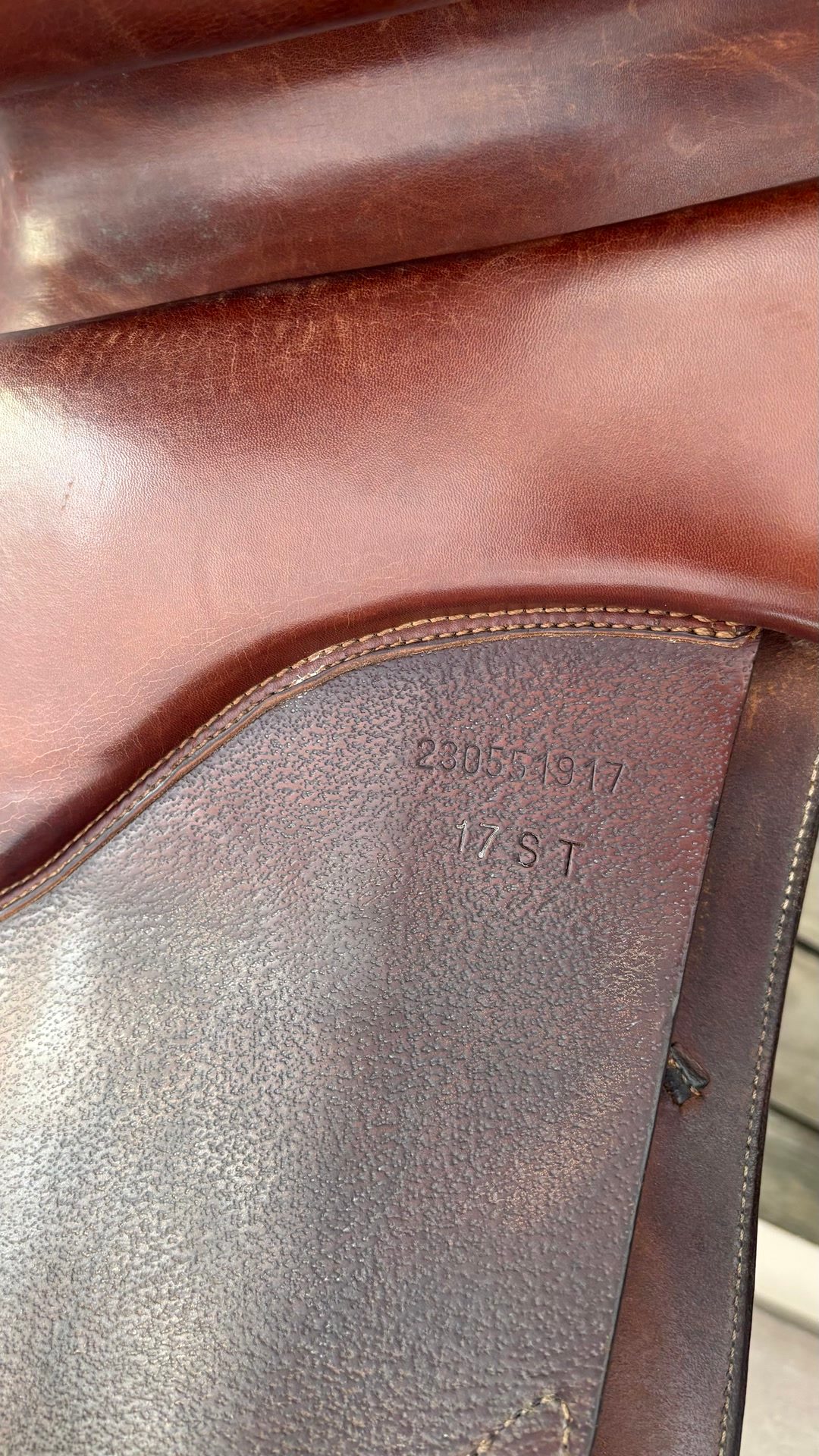 Selle le forestier, média 8
