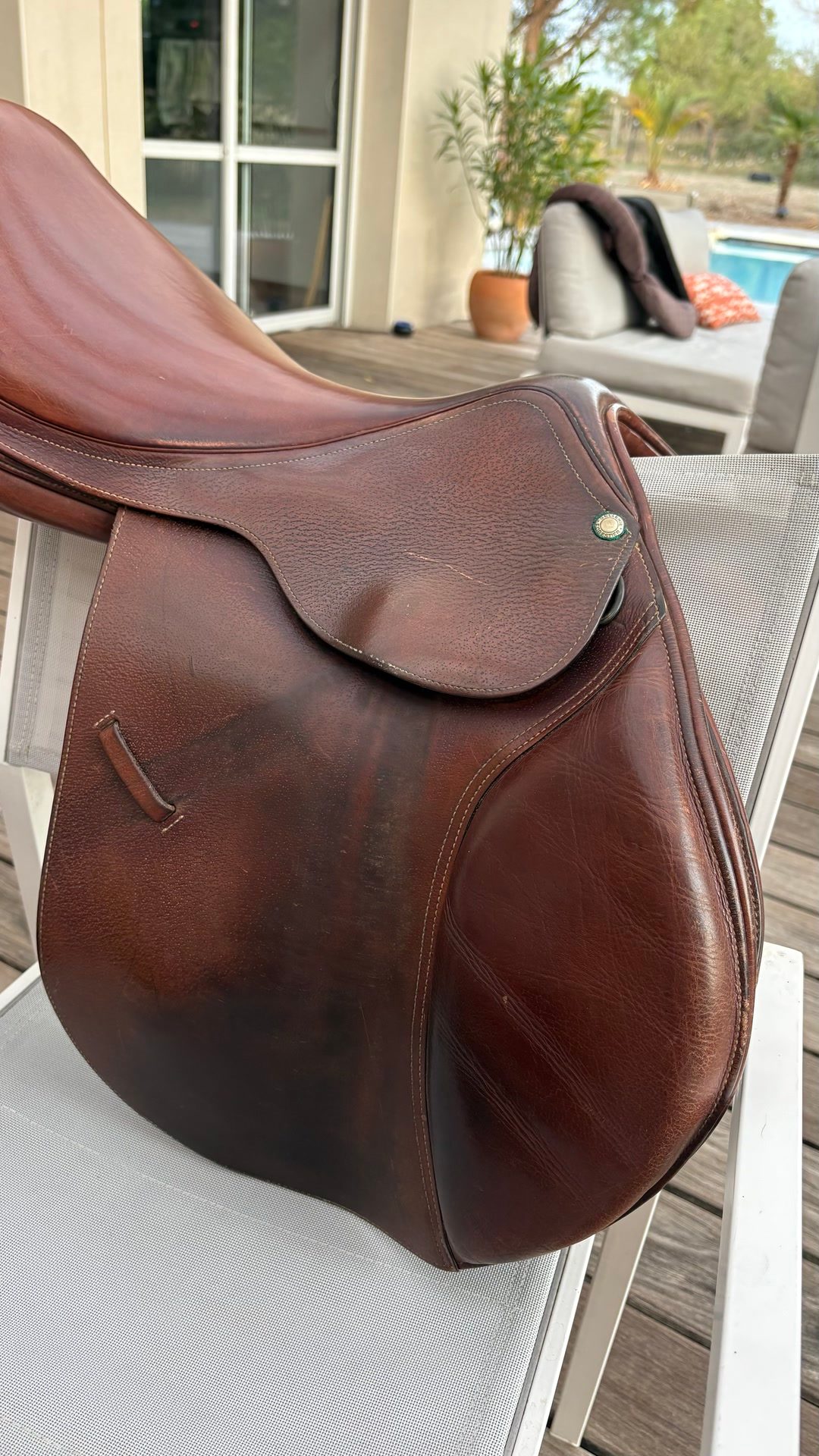 Selle le forestier, média 4