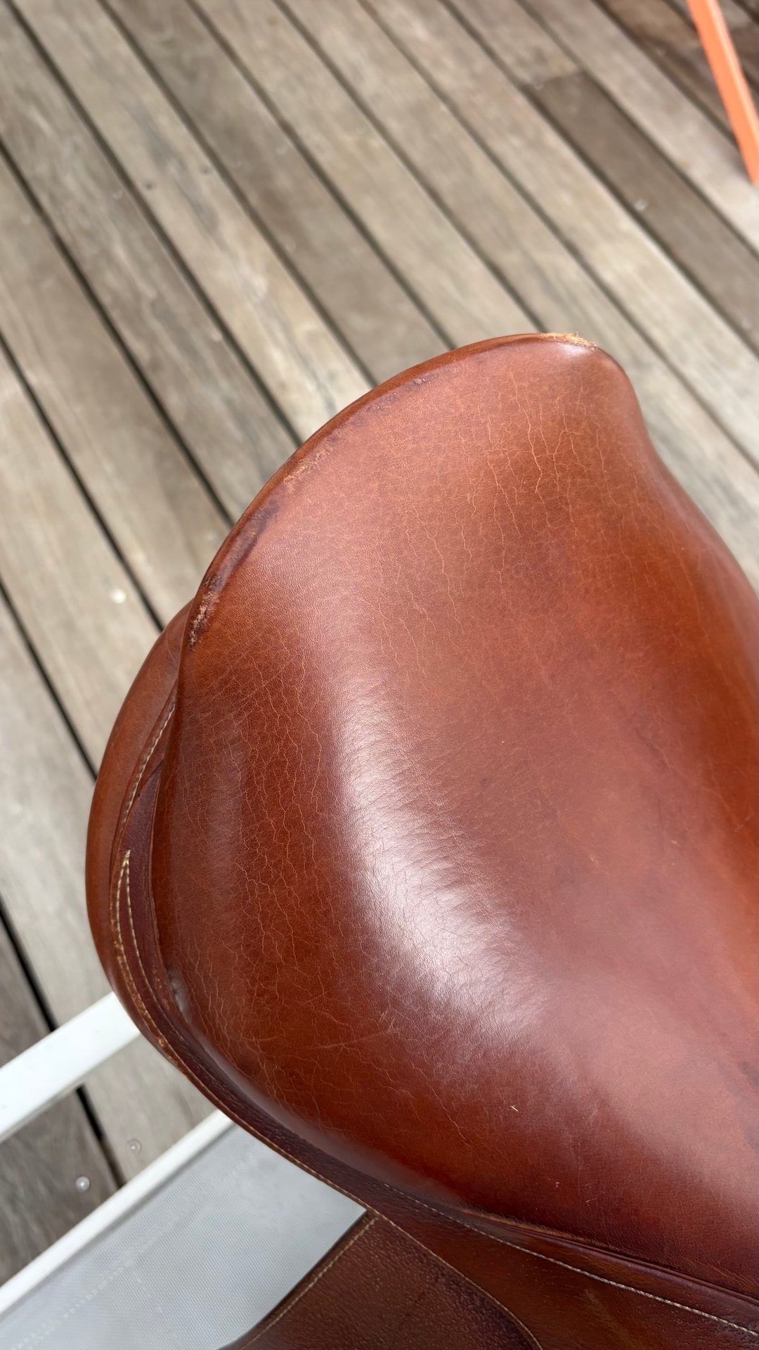 Selle le forestier, média 5