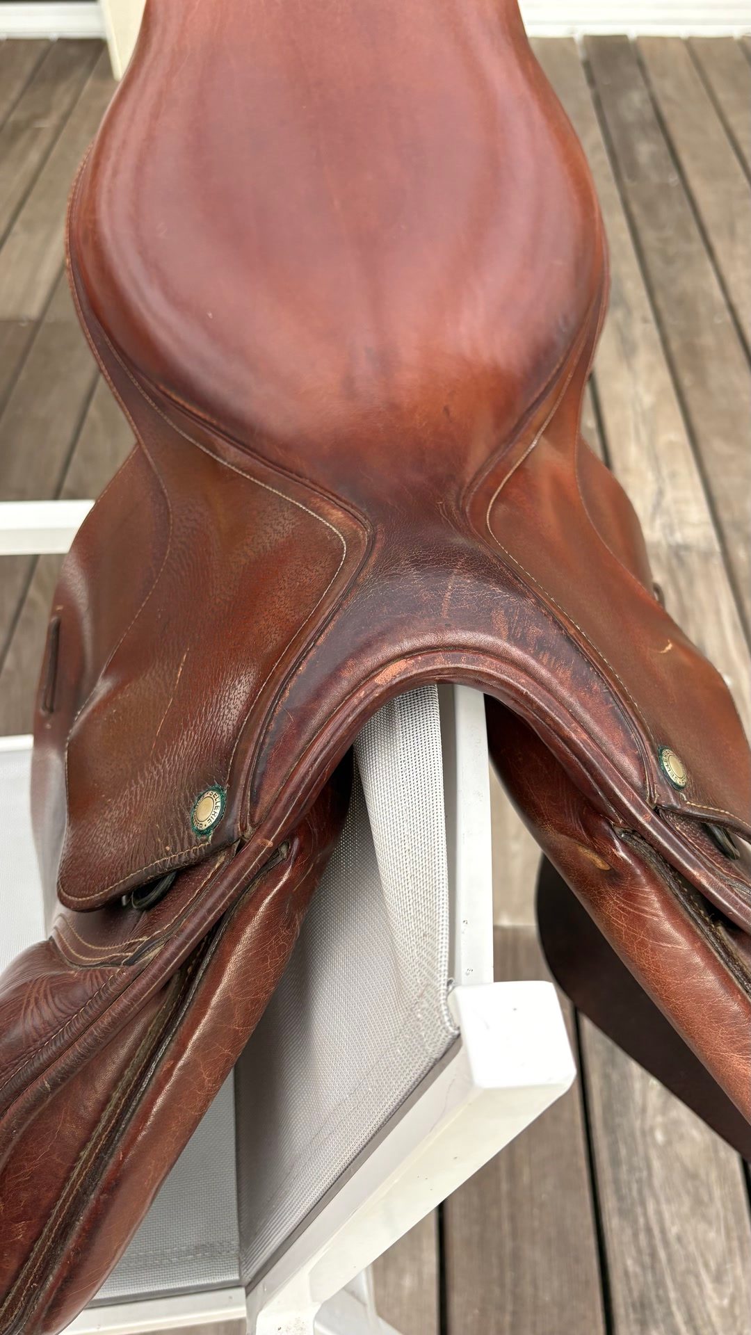 Selle le forestier, média 6