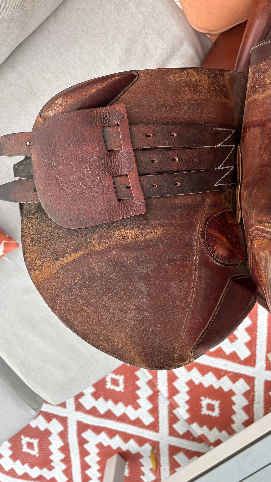 Selle le forestier, média 9