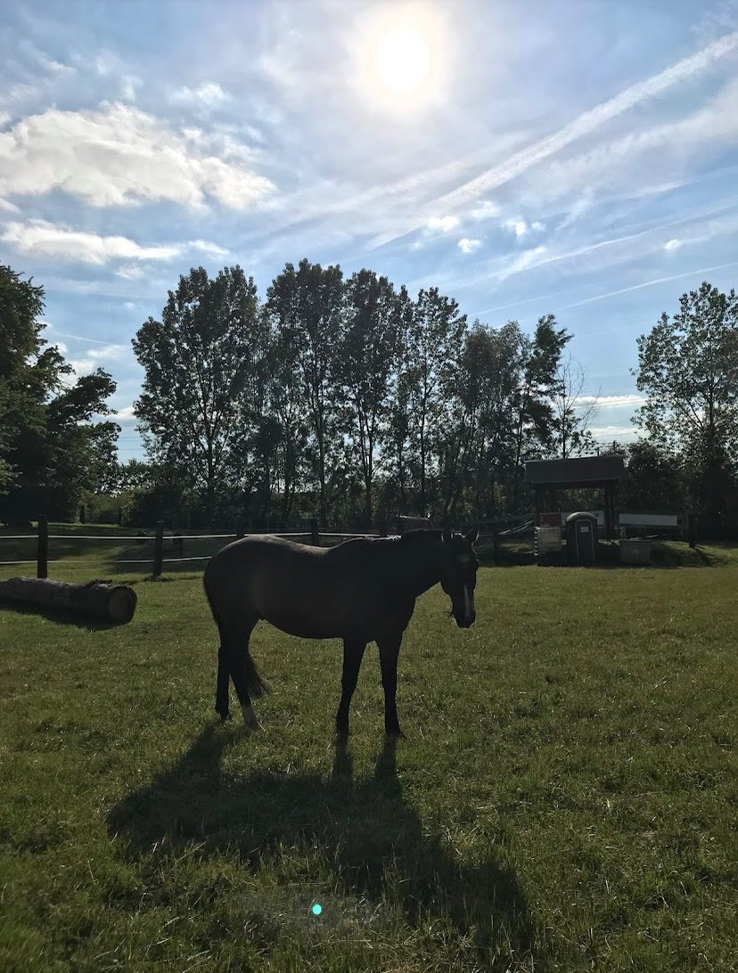 Ranch de la vallée du puits, média 4