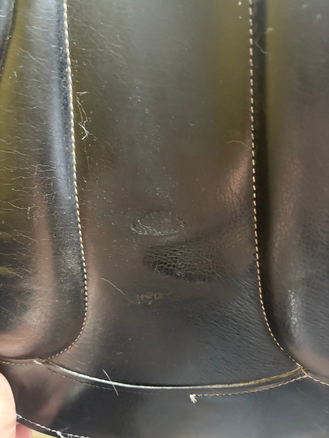 Selle dressage, média 6