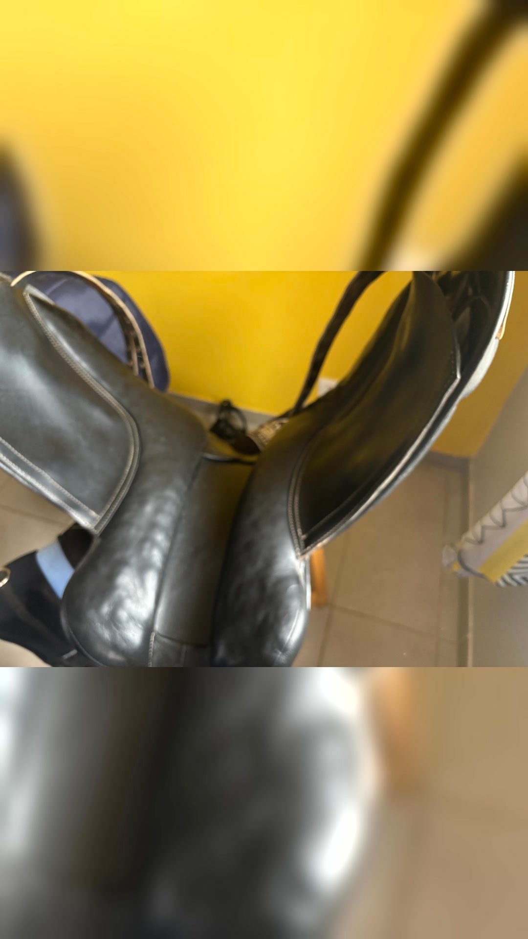 Selle dressage, média 10