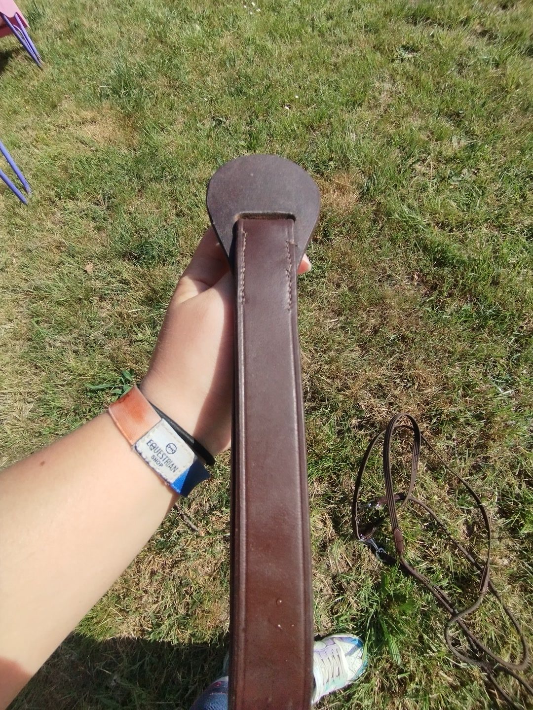 Rene allemande en taille poney, média 6