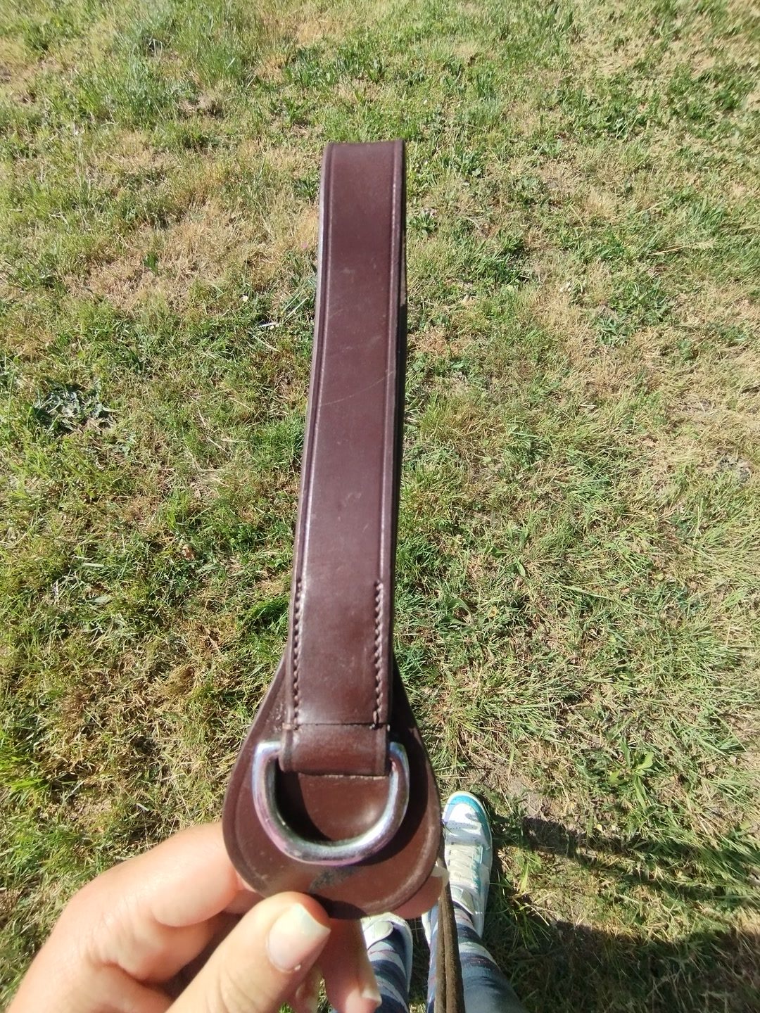Rene allemande en taille poney, média 4