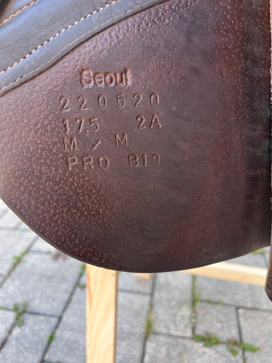 Selle Forestier Séoul 2022 17,5 pouces, média 5
