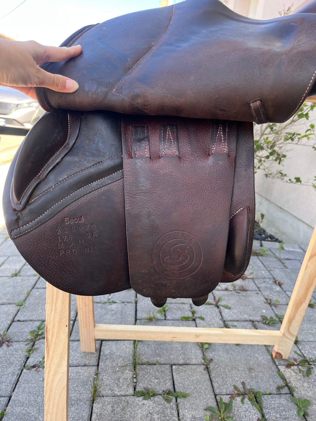 Selle Forestier Séoul 2022 17,5 pouces, média 3