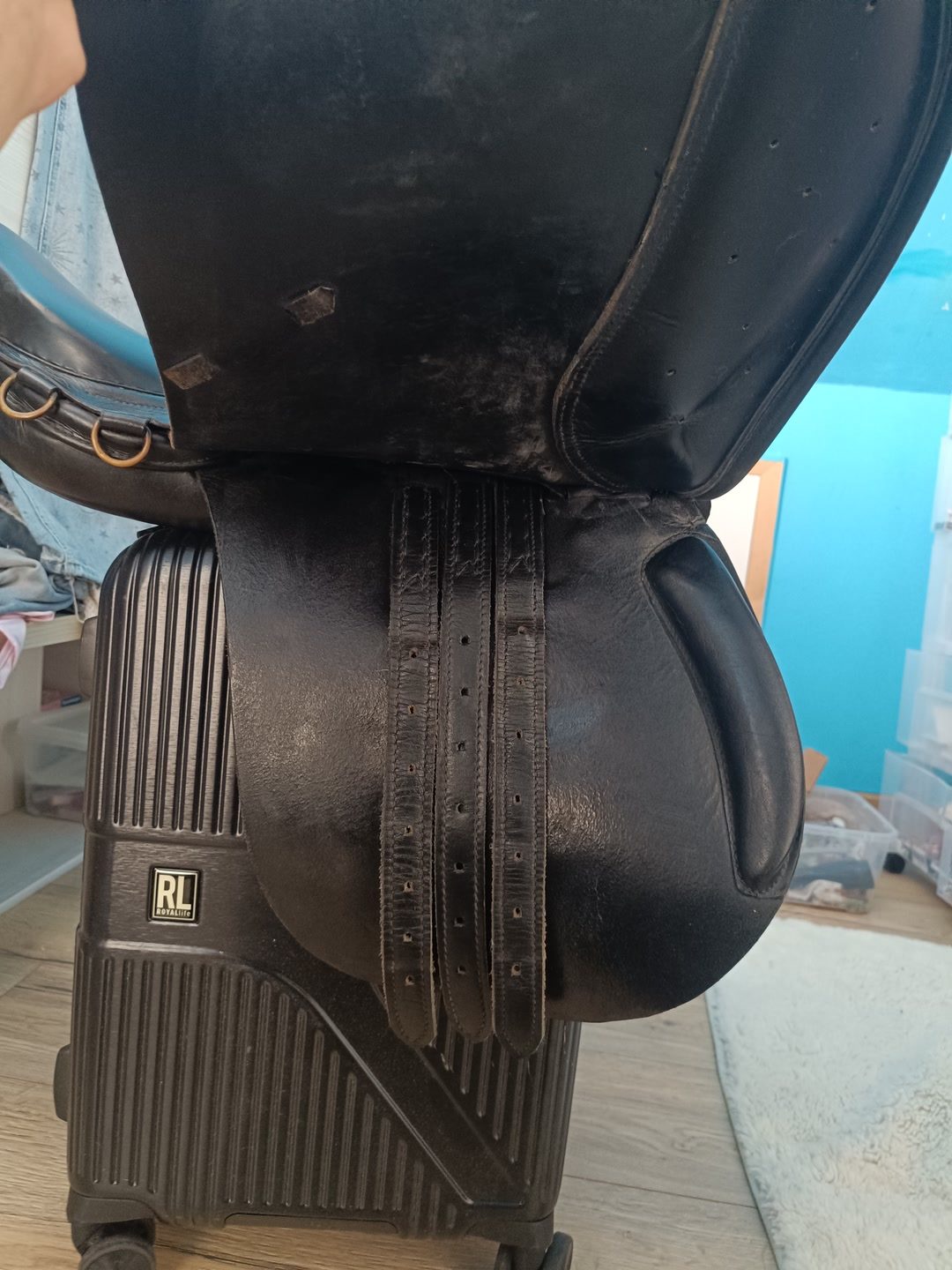 Selle, média 7