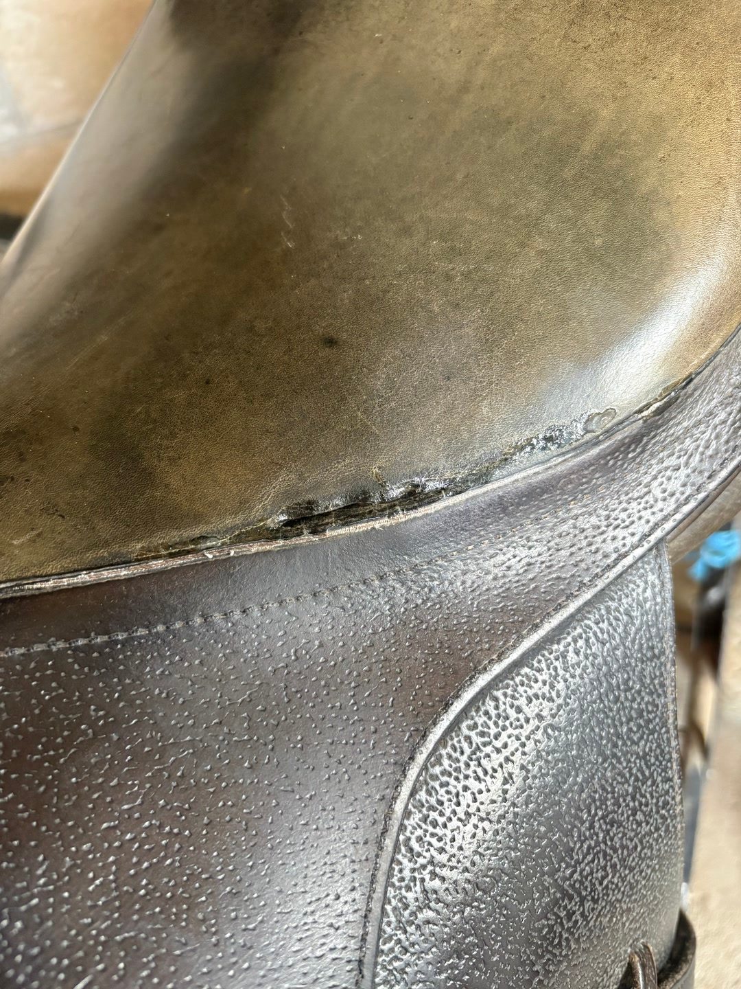 Selle privilège équitation, média 6