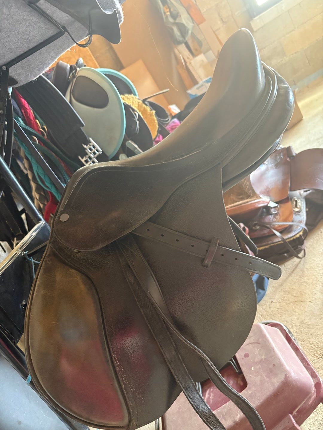 Selle privilège équitation, média 2