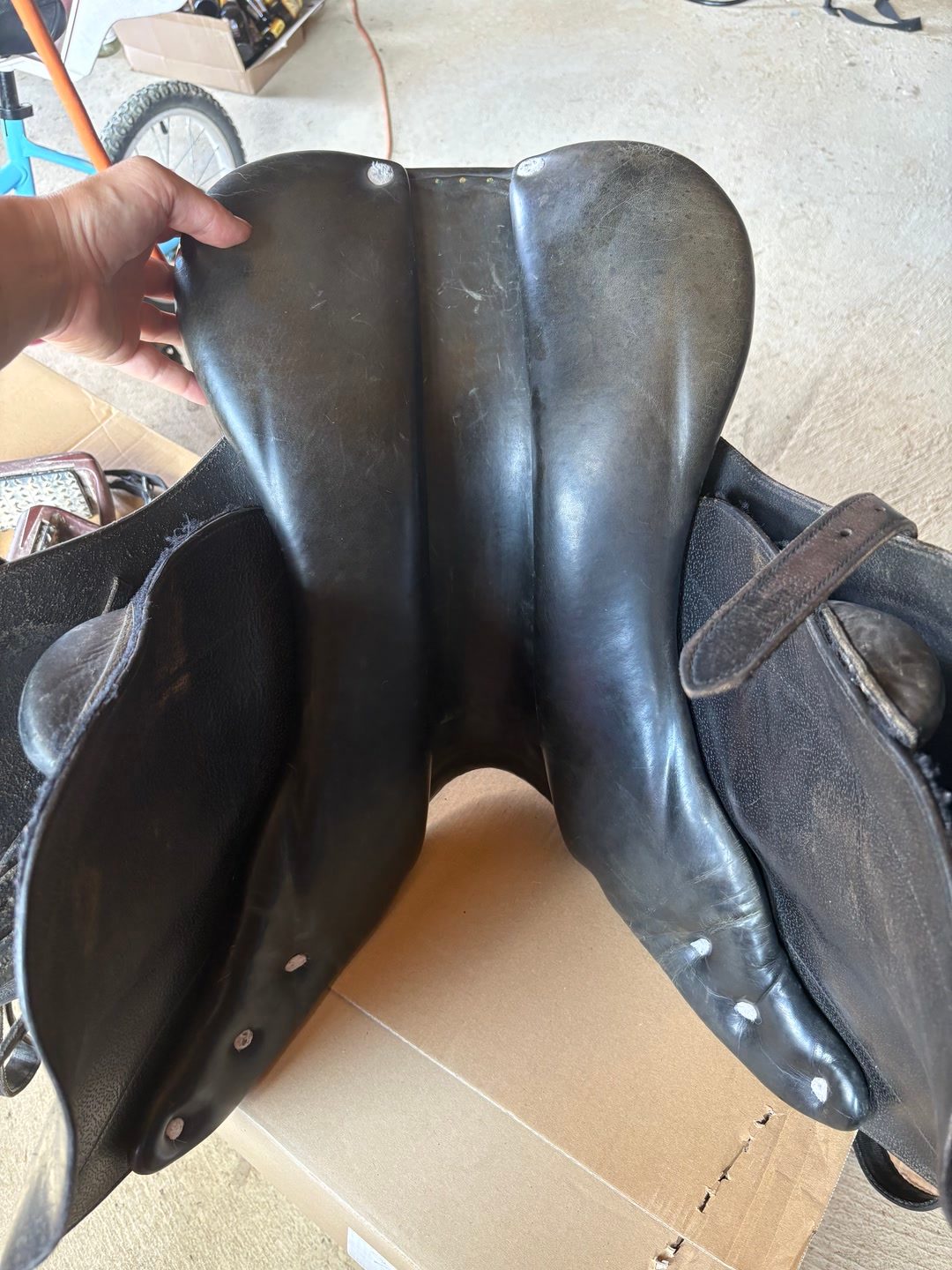 Selle privilège équitation, média 5