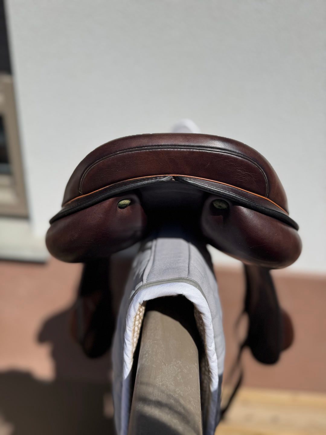 Selle Monoquartier Equipe, média 4