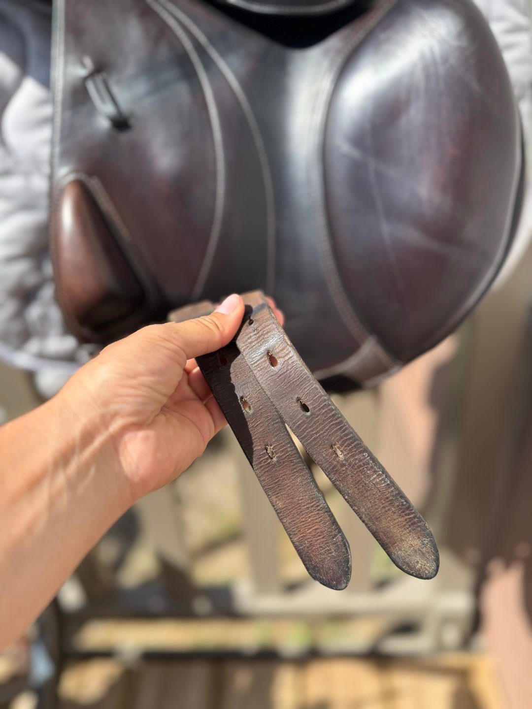 Selle Monoquartier Equipe, média 3