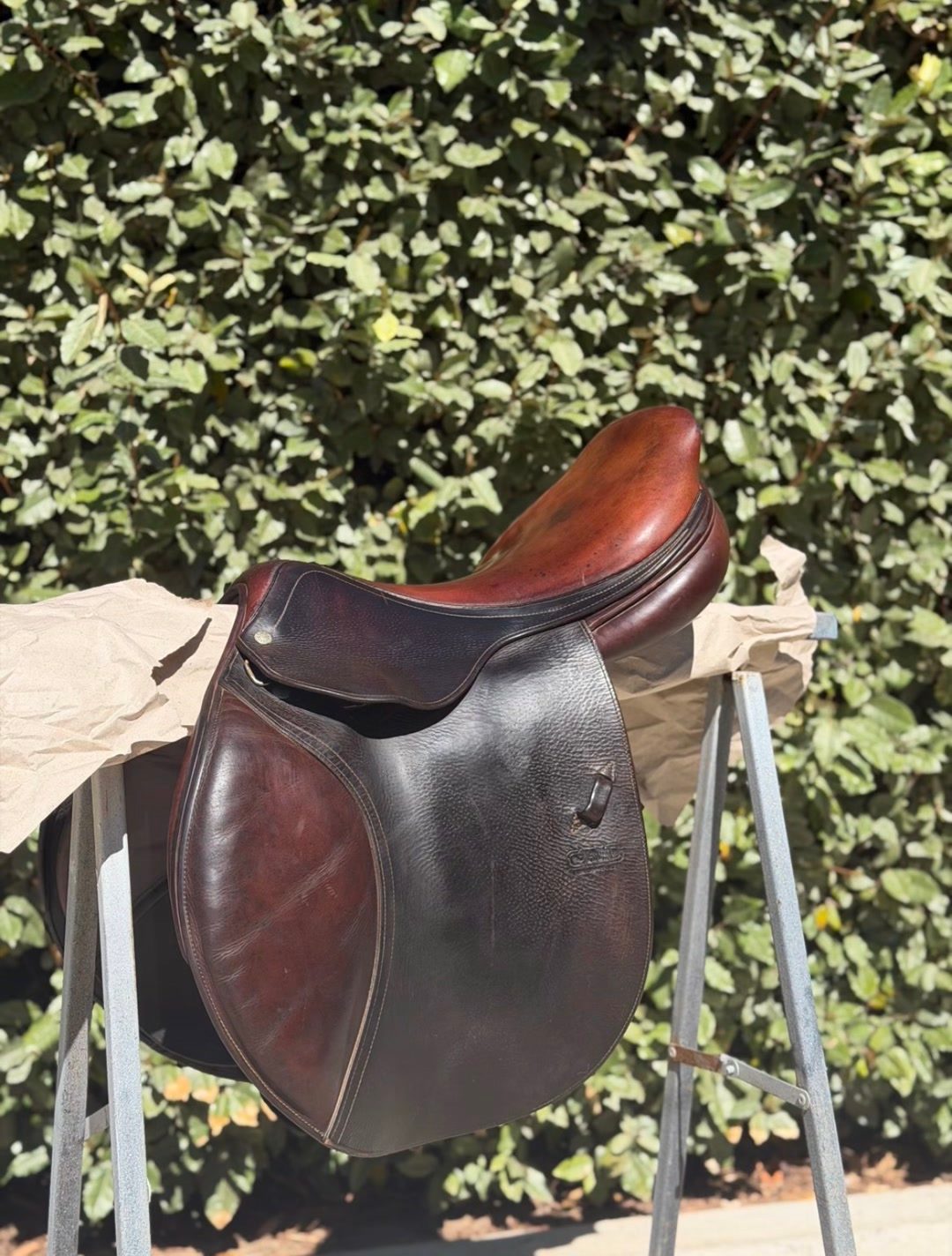 Selle, média 5