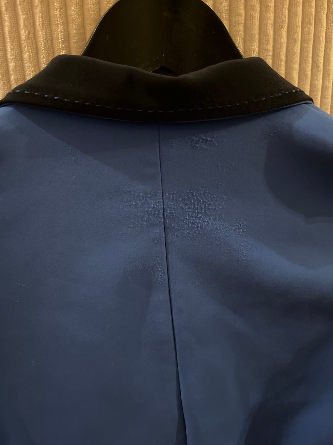 À vendre veste de concours Pénélope bleu taille 12 ans, média 5