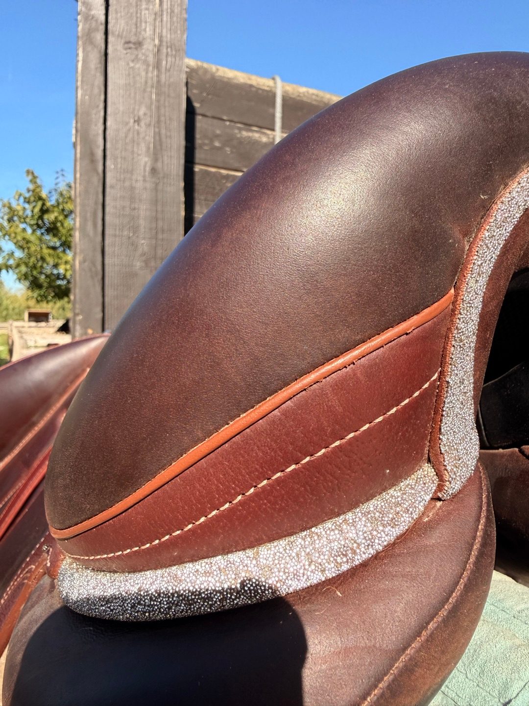 selle de dressage Devoucoux Makila Harmonie S, média 3