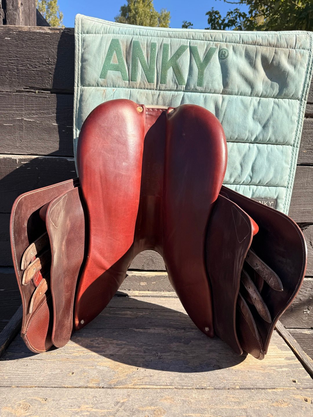 Selle Devoucoux Biarritz Lab Havane, média 7