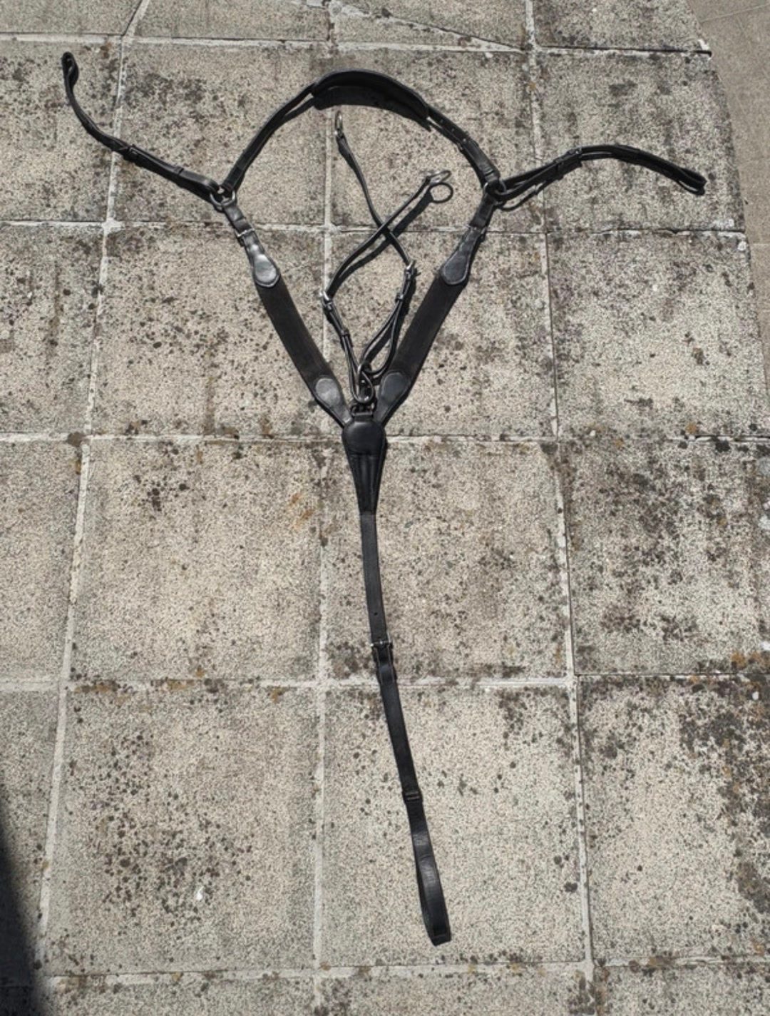 Collier de chasse, média 5