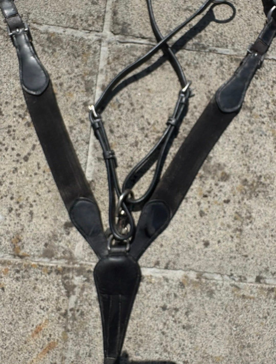 Collier de chasse, média 4